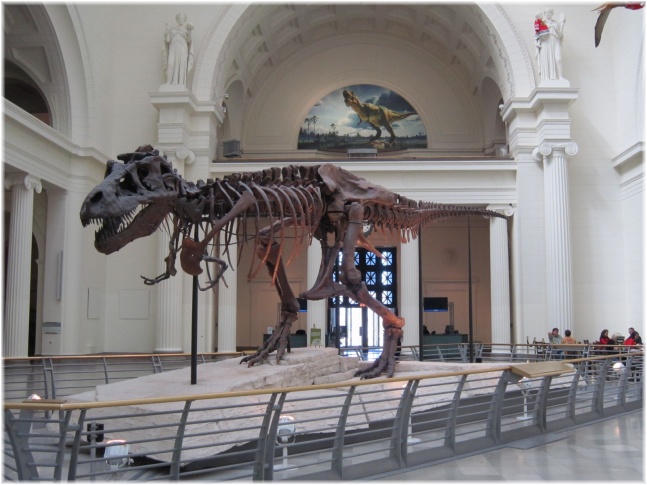 IMG 5680.jpg - Field Museum - T-rex Sue
