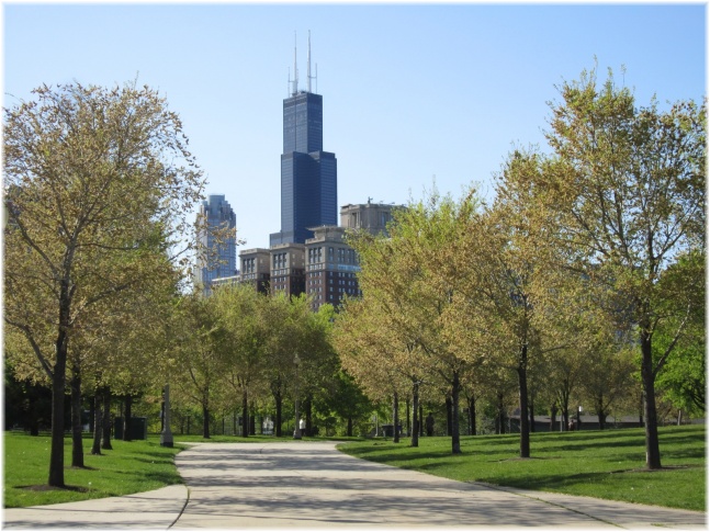 IMG 5684.jpg - Willis Tower depuis Grant Park
