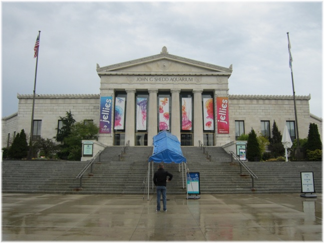 IMG 5861.jpg - Shedd Aquarium
