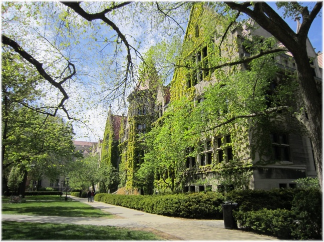 IMG 6119.jpg - University of Chicago
