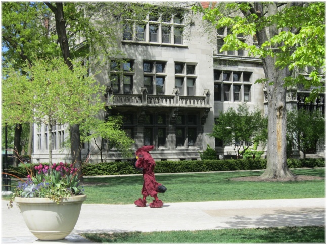 IMG 6120.jpg - University of Chicago
