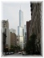 IMG 5239.jpg - Trump Tower
