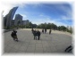 IMG 5460.jpg - The Bean
