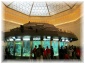 IMG 5866.jpg - Shedd Aquarium
