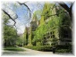 IMG 6119.jpg - University of Chicago
