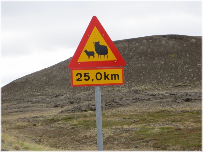 islande113.jpg - Panneau moutons
