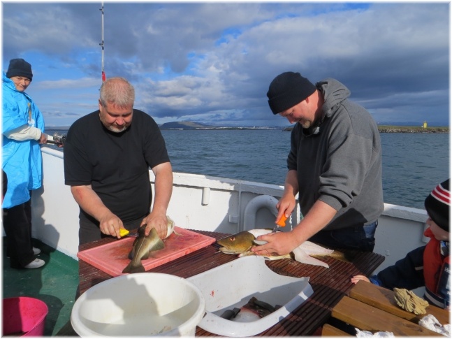 islande156.jpg - Pêche en mer
