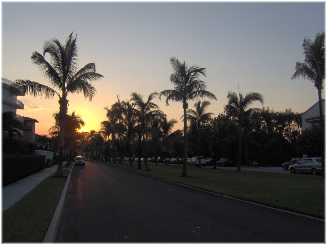 20.jpg - Palm Beach
