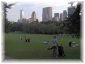 64.jpg - New York - Central Park
