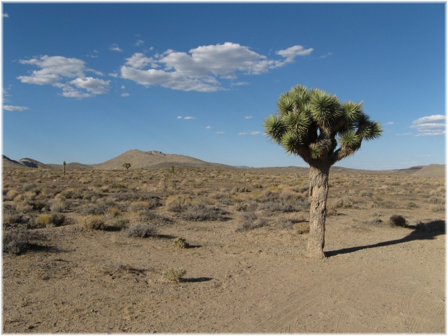 012.jpg - Death Valley

