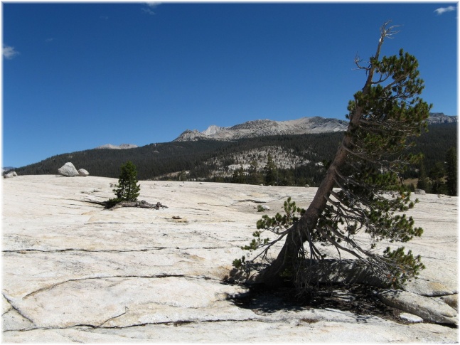 019.jpg - Yosemite
