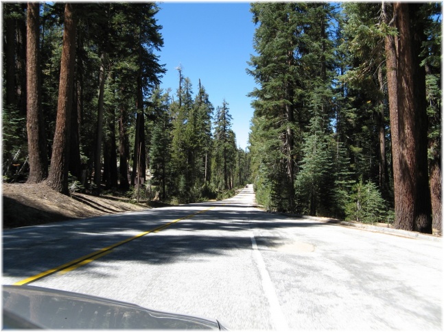 022.jpg - Yosemite
