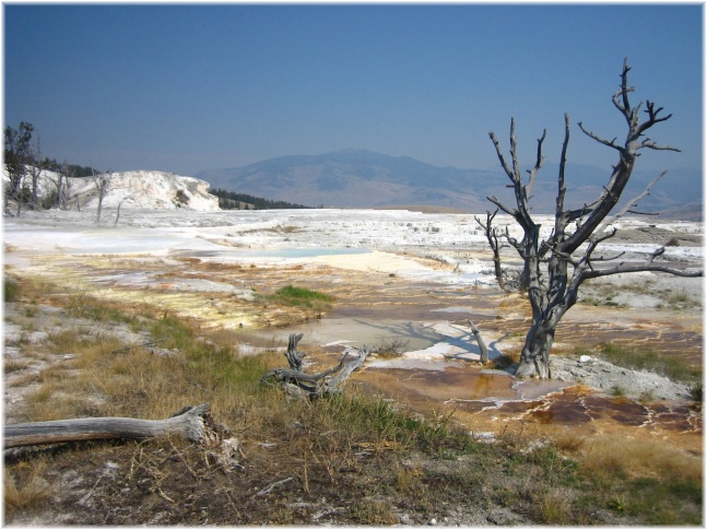 099.jpg - Yellowstone
