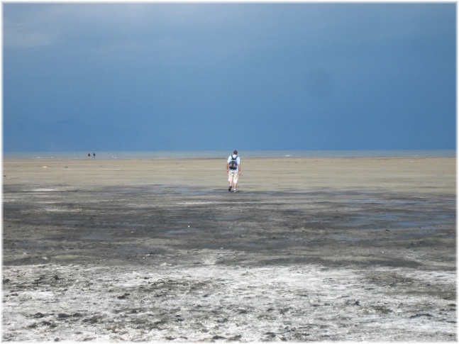 113.jpg - Great Salt Lake

