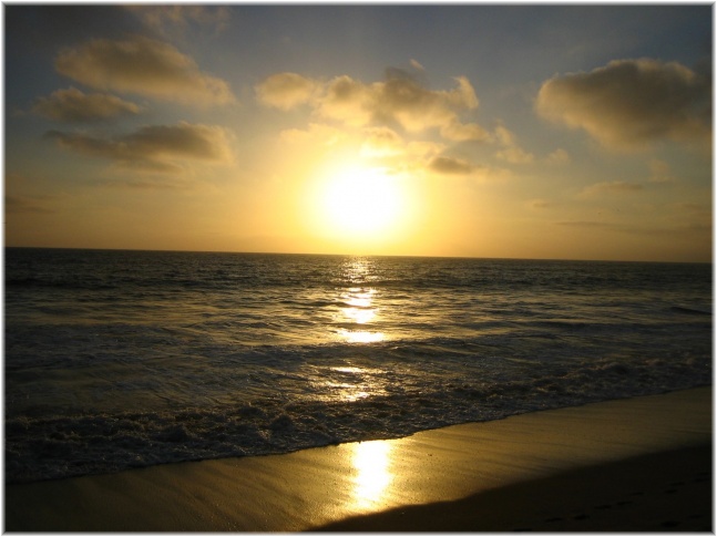 178.jpg - Venice Beach
