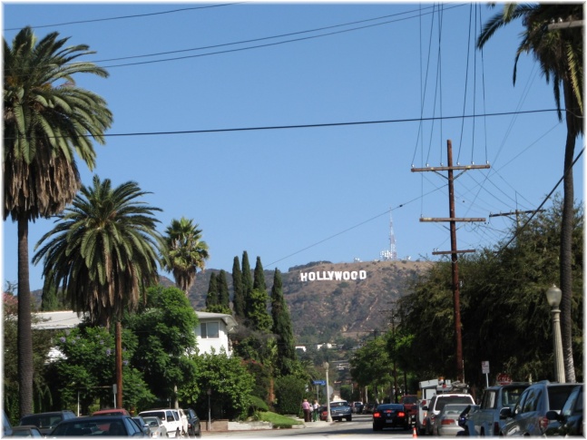 196.jpg - Signe Hollywood

