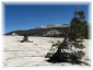 019.jpg - Yosemite
