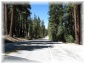 022.jpg - Yosemite
