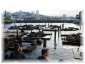 033.jpg - San Francisco
