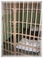 036.jpg - Prison Alcatraz
