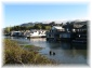 047.jpg - Sausalito
