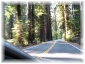 054.jpg - Redwood National Park
