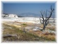 099.jpg - Yellowstone
