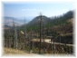 100.jpg - Yellowstone
