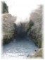 105.jpg - Yellowstone
