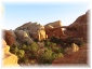 124.jpg - Arches National Park
