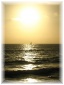177.jpg - Venice Beach
