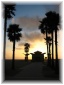 179.jpg - Venice Beach
