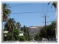196.jpg - Signe Hollywood
