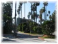 203.jpg - Los Angeles - Beverly Hills

